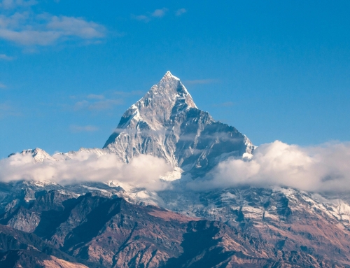 TSS, Inc. (TSSI): 2024’s Bowser Stock of the Year